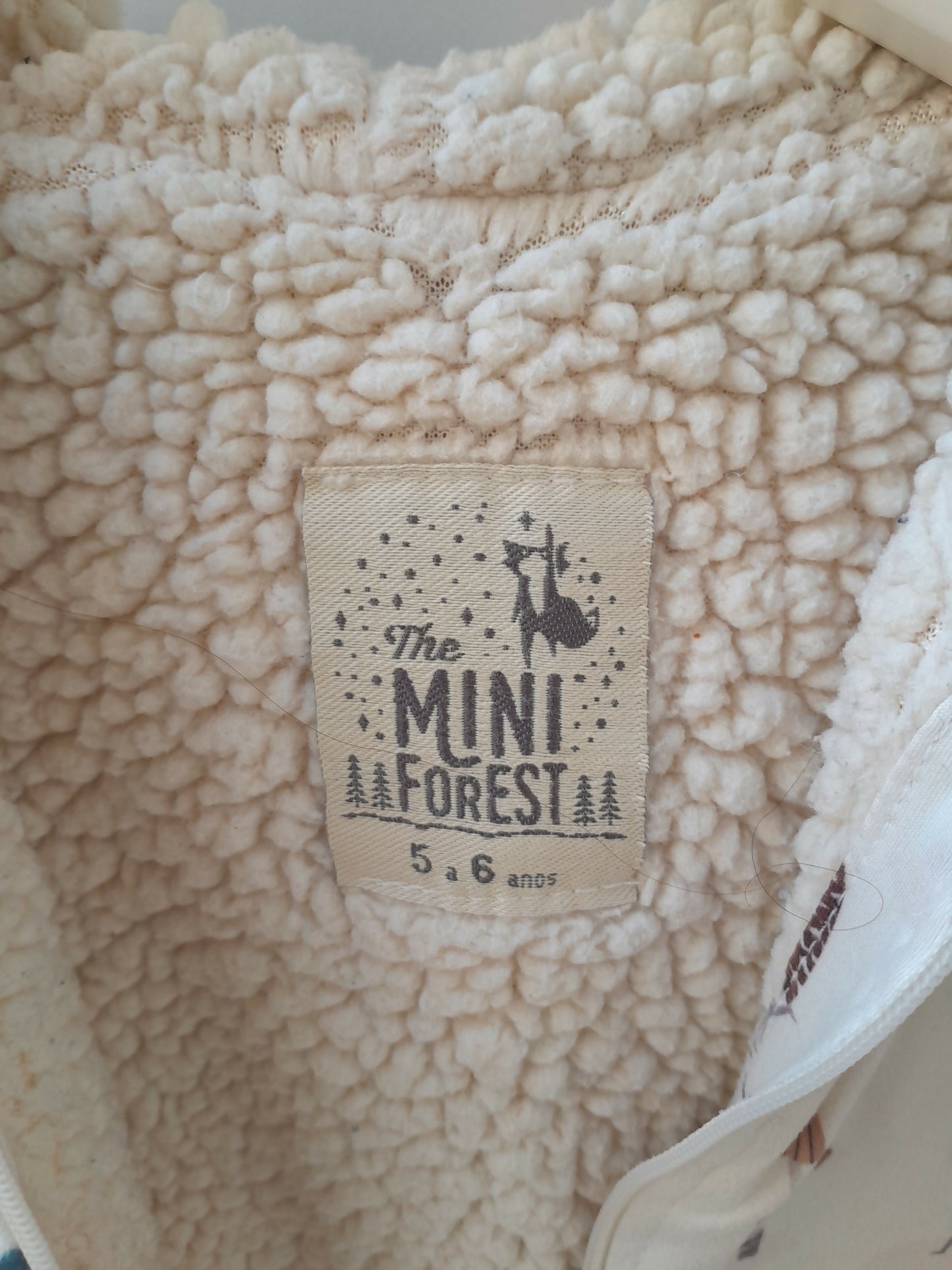 Jaqueta Infantil Peluciada The Mini Forest Estampa Esquilos com Capuz – 5/6 Anos