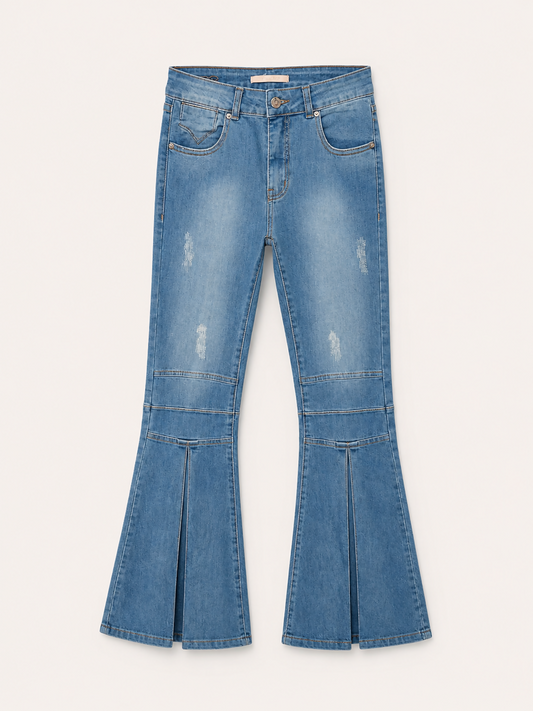 calça jeans da carol bassi